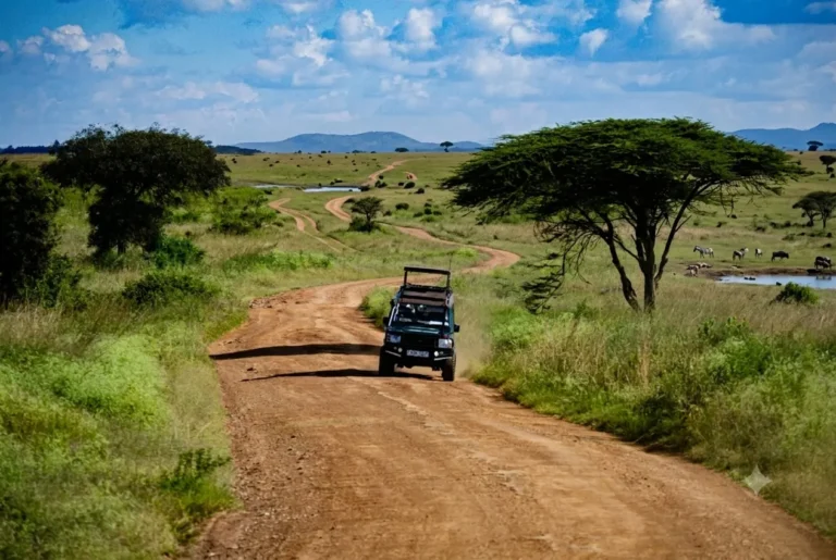 Kenya Safari Guide
