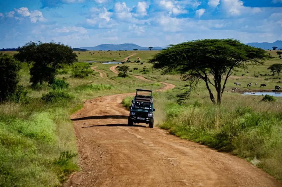 Kenya Safari Guide