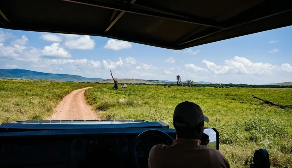 Best Time to Visit Kenya