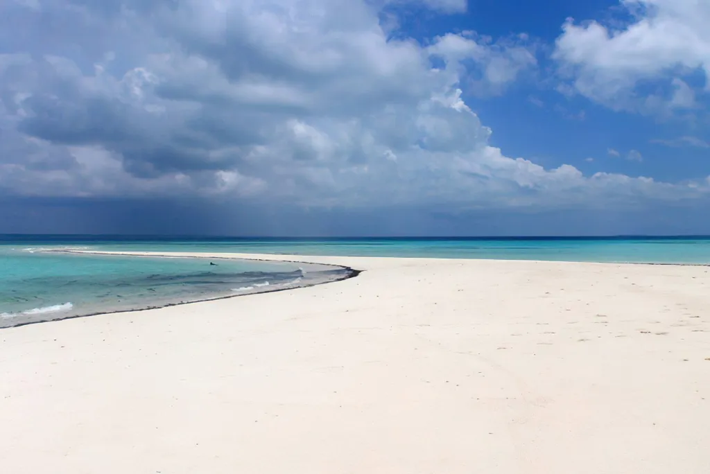 Mafia Island