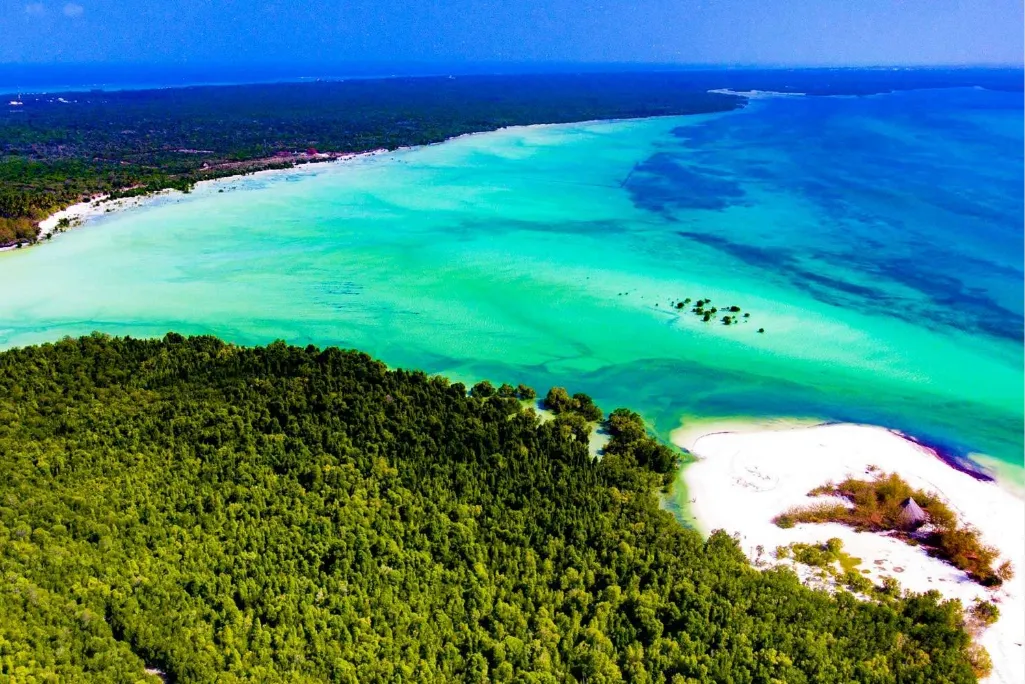 Michamvi Peninsula