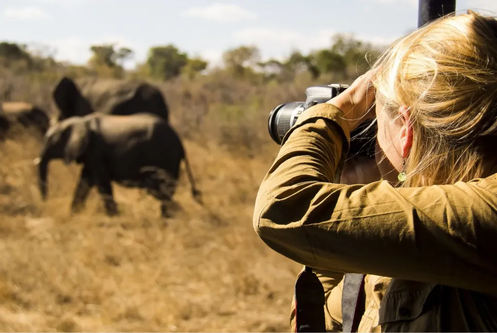 Tanzania Private Safari