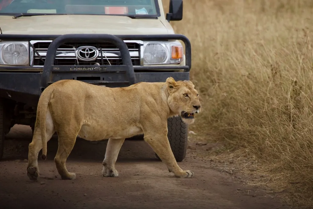 Tanzania Safari Route