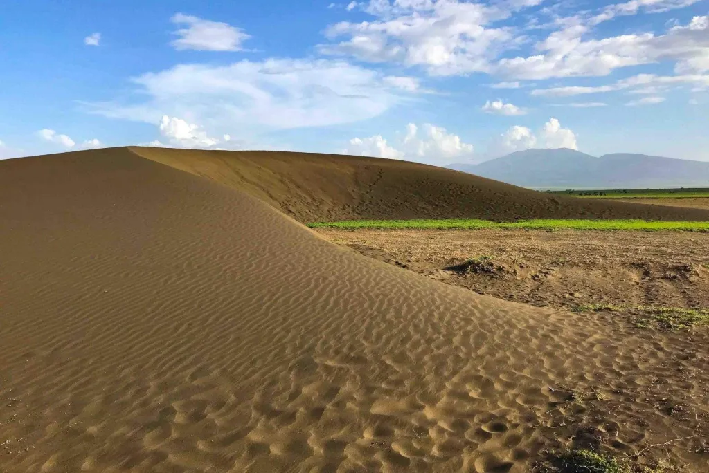 Shifting Sand Dunes of Ngorongoro