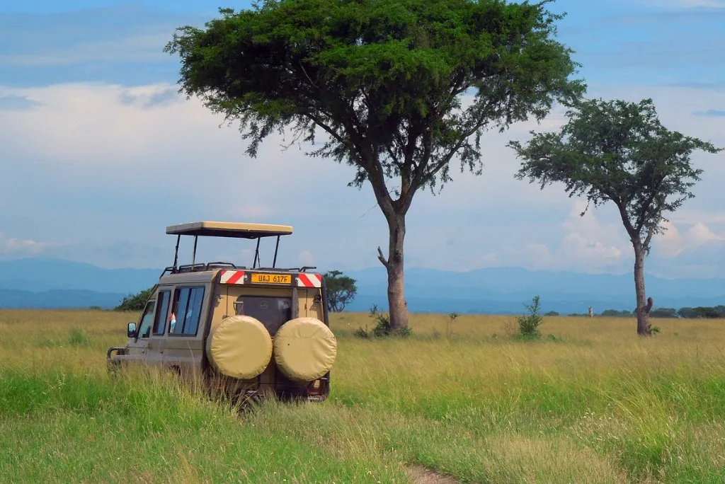 Uganda Safari Guide