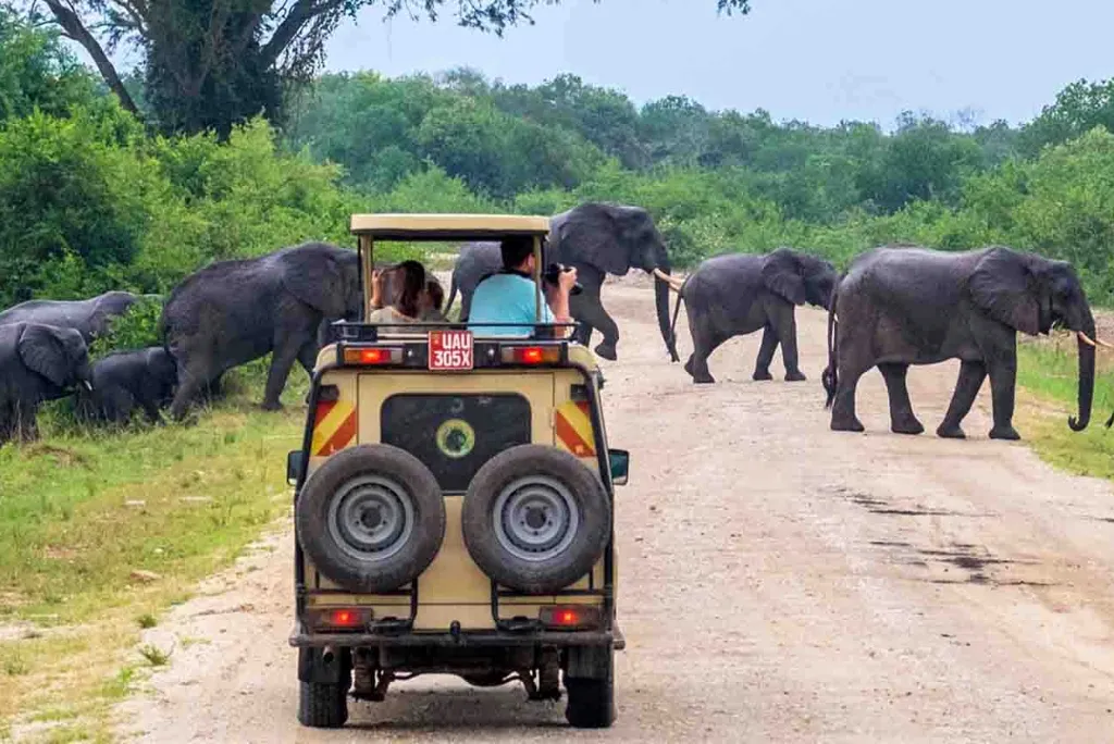 Uganda Safari Route