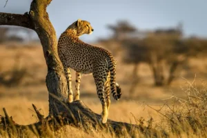 Visiting Tanzania