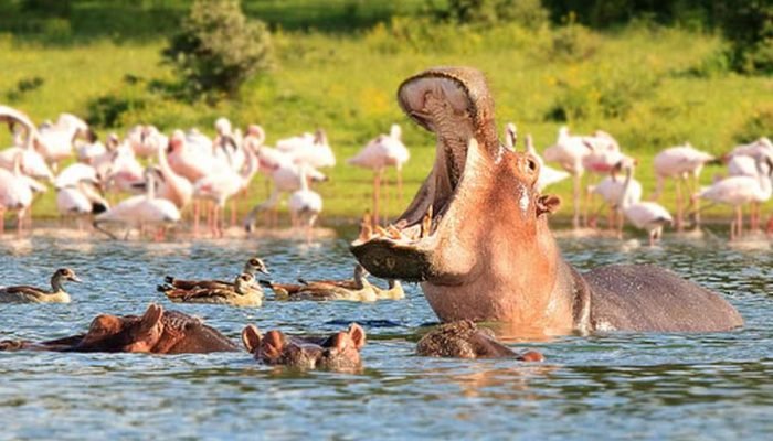 Crescent Island Lake Naivasha