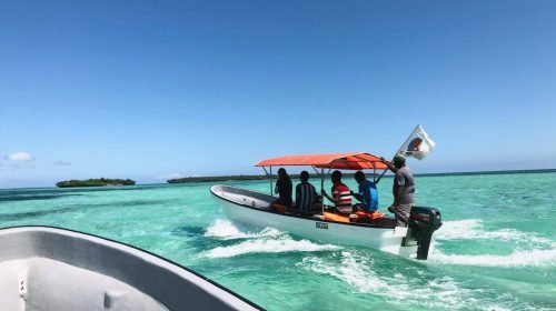 Dolphin Watching Zanzibar