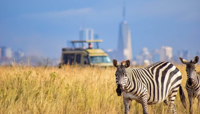 Nairobi-National-Park-8