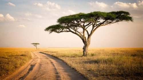 Serengeti National Park4