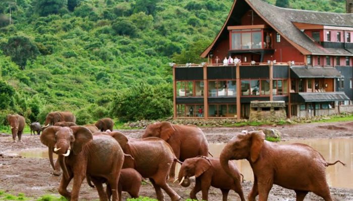 aberdare national park kenya tours