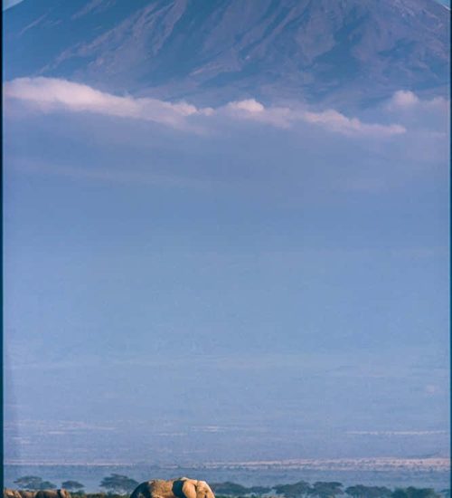 kilimanjaro-highest-mountain-in-africa-wibo3gmpkxkdnhld