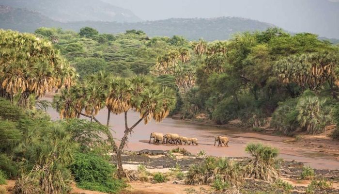 samburu national park tours and safaris